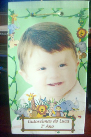 Sacolinha de guloseimas Safari