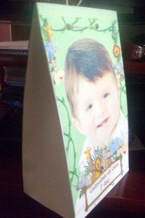 Sacolinha de guloseimas Safari